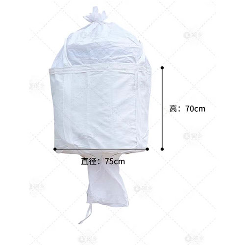 Container bag